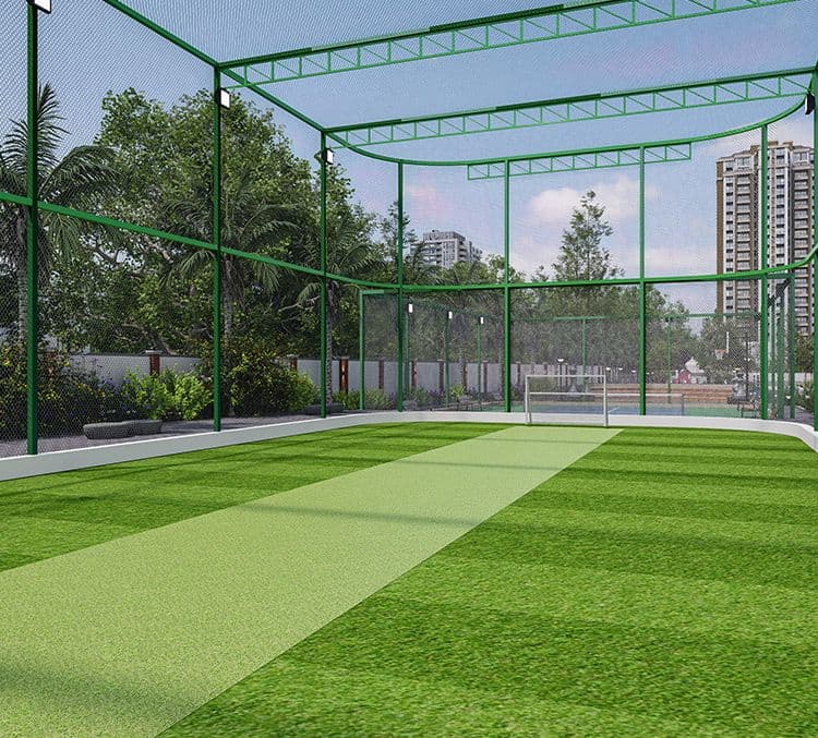 Cricket Turf